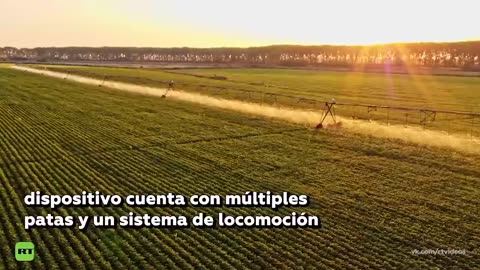 Robot-ciempiés busca revolucionar la agricultura moderna
