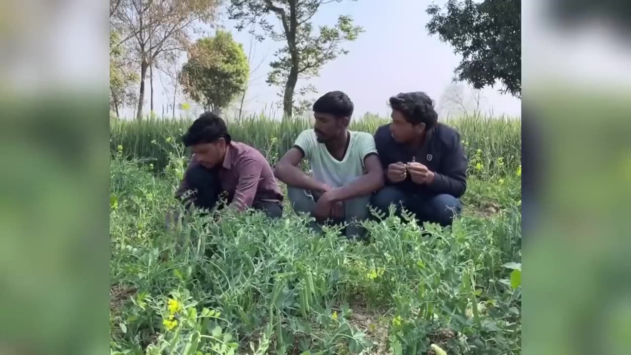 Funny Videos