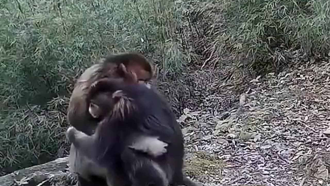 Mommy is always there.. 😊