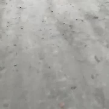 Russian Soldiers On An Afternoon Stroll of What Once Was A Pristine, Quiet Country Road