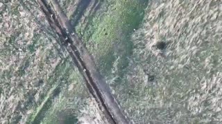 🚁🔥 Ukraine Russia War | Ukrainian 4th Brigade Repels Russian Armor in Donetsk | RCF