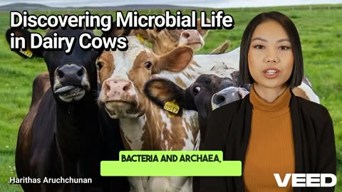 5,000 New Microbes Found in Dairy Cows: A Scientific Breakthrough for Dairy Farming