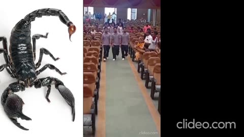 A fashion show by twins & triplets