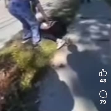 This is what happened on harbor view school today #SaintJohn #NewBrunswick