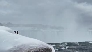 Who is This Guy in Niagara Falls and Why Everyone Touching his Nose?