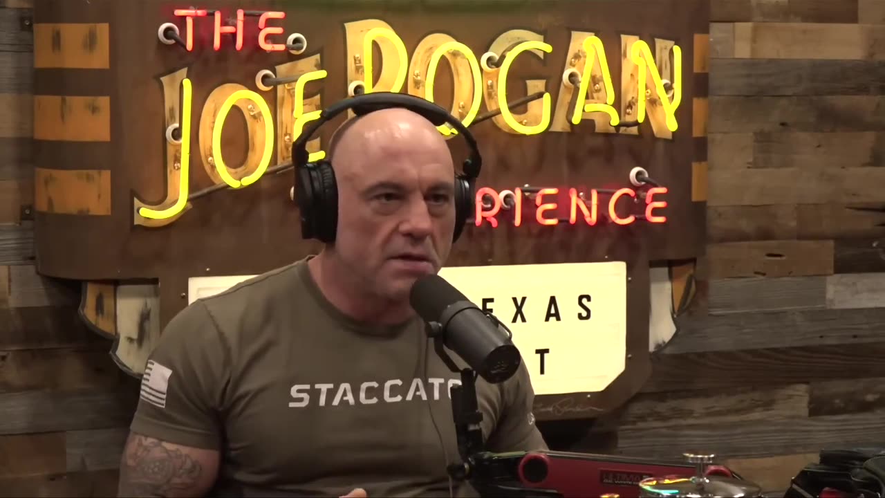 Mushrooms: Secret Networks - Luke Caverns on JRE #paulstamets #mycelium #fungi #mycorrhizal