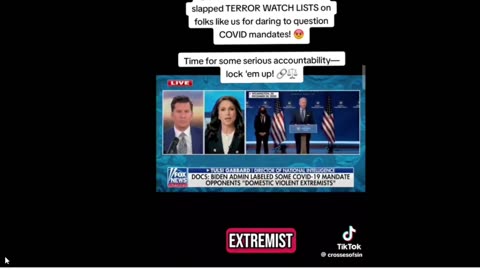 Tulsi Gabbard drops bomb shell listen good! violence