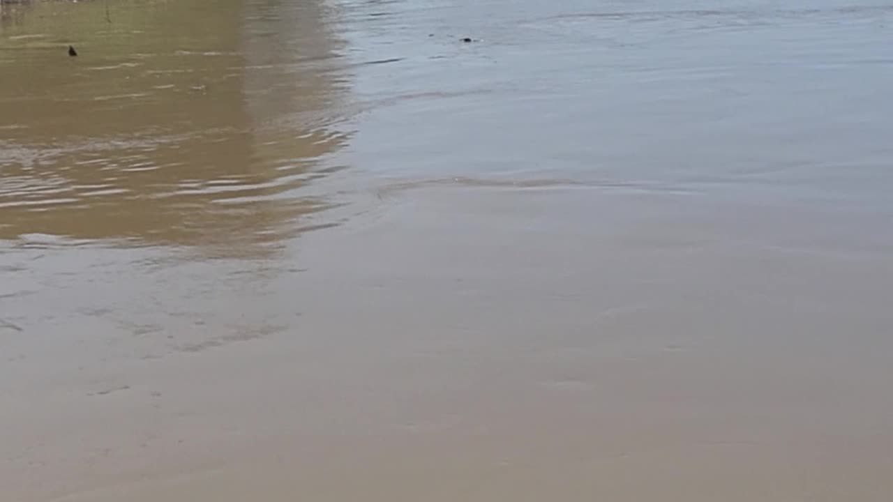 Ohio river flooding owensboro ky