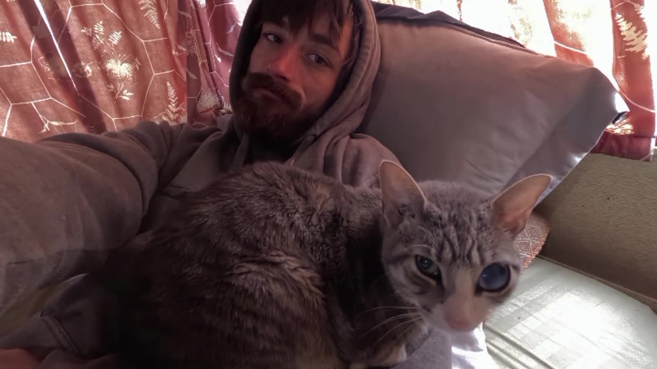 🐈Kitty❤️Snuggles😻