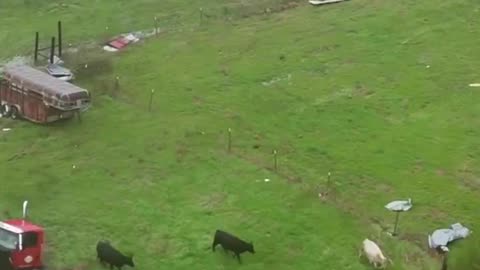 Aerial footage of the tornado damage in Gordo, Alabama. Video by Henry Swenson.