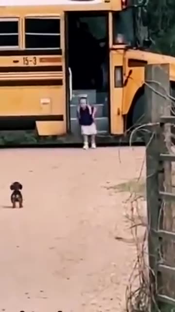 Life is always better when you are greeted like this when you come home