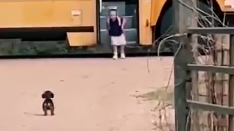 Life is always better when you are greeted like this when you come home