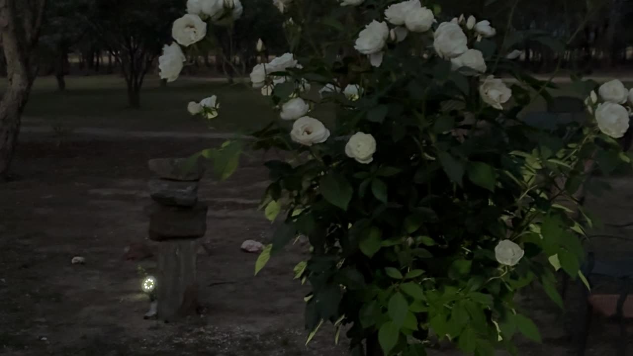 The Intention Circle at Jaya Sanctuary