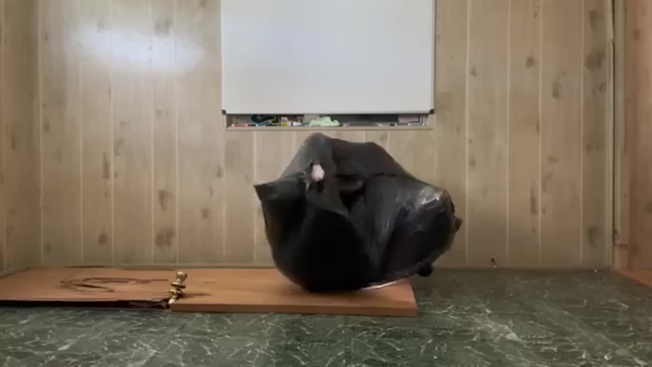 A saw movie