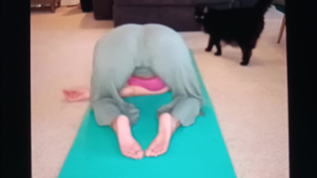 Body love movement flow