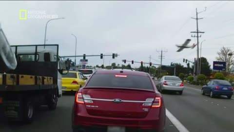 AWARYJNE LĄDOWANIE dokument pl