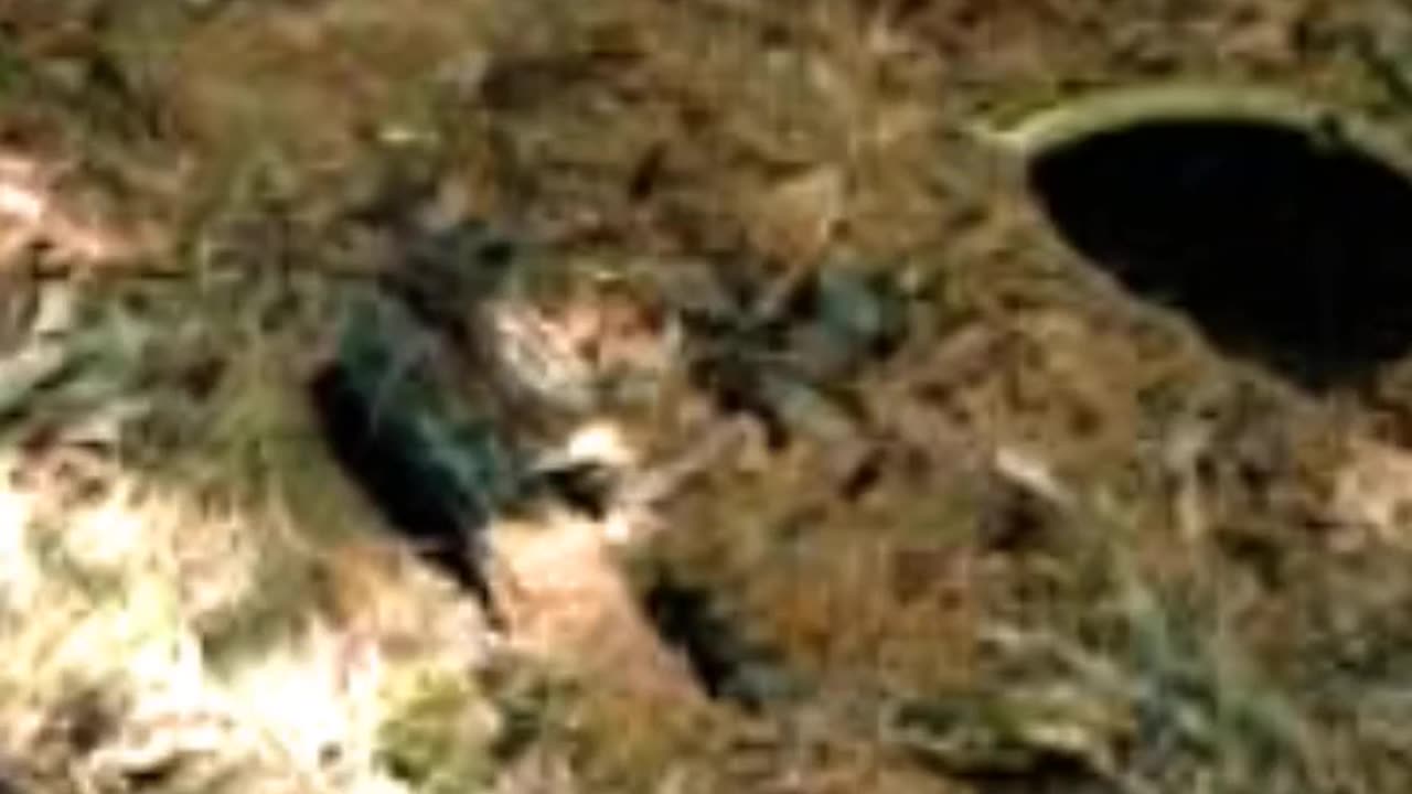 FAMOUS GRAVES - VOL. 582: GEORGE ZINKHAN