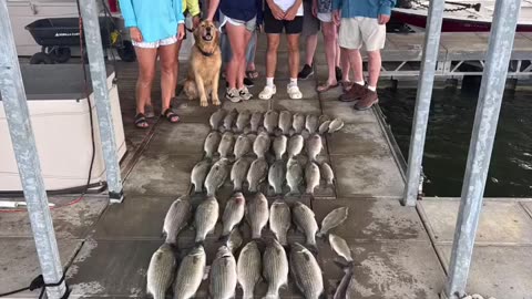 😂🐟 This Fish is a Fishing Pro! | FunFM