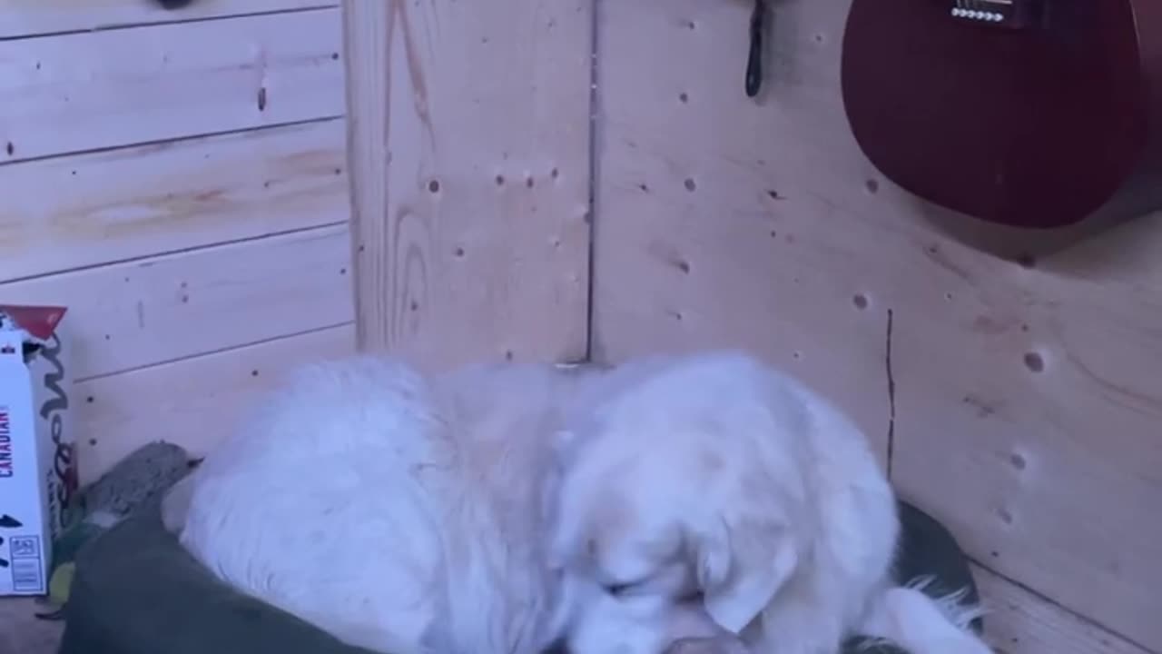 6 years as a gagged whistleblower