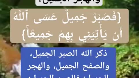 ما المقصود بالصفح الجميل والصبر الجميل والهجر الجميل؟