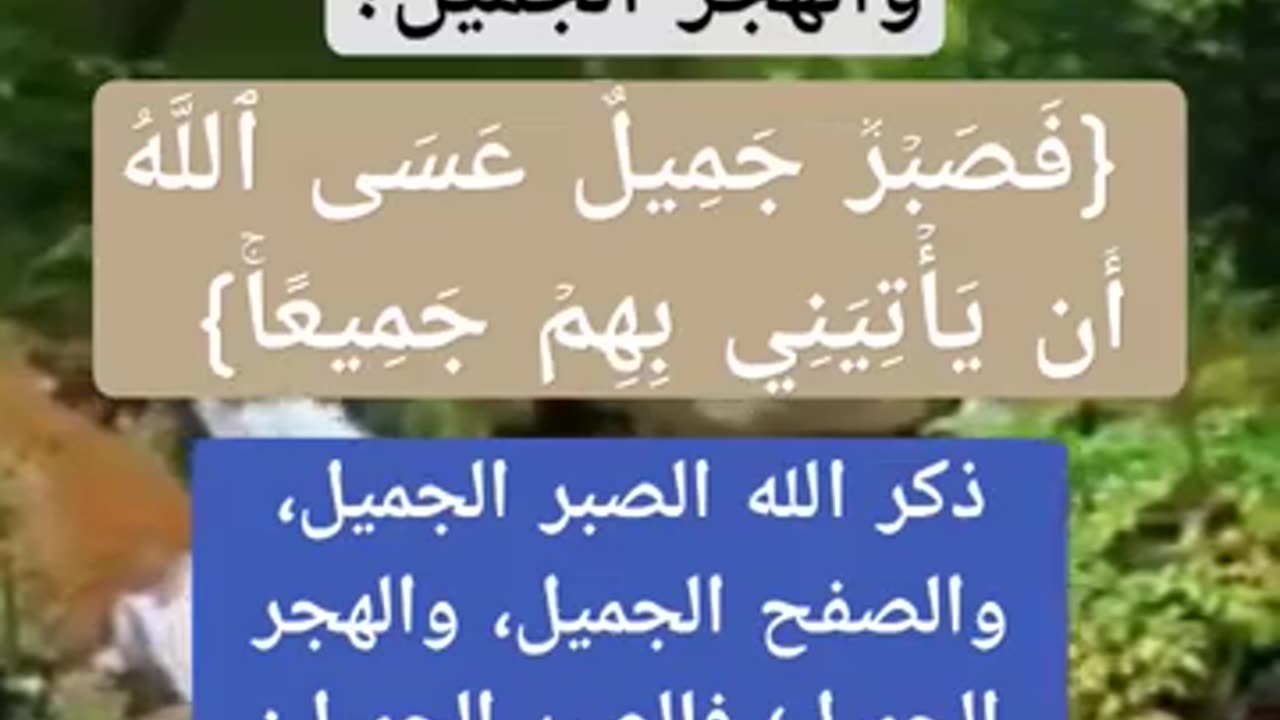 ما المقصود بالصفح الجميل والصبر الجميل والهجر الجميل؟