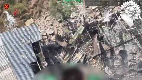 ✈️💥 Ukraine War | Ukrainian Air Strikes Hit Russian Drone Base | RCF