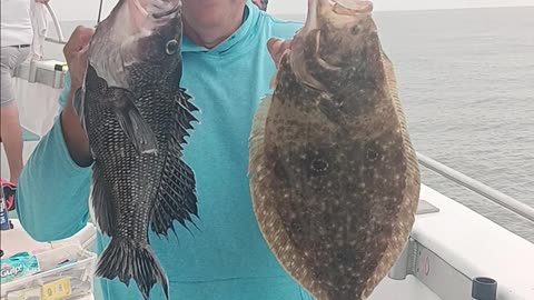 Sea bass and fluke