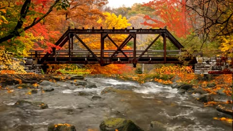 Jazz Ambience Cool Autumn Vibes at the Trestle Bridge over the Mountain Stream
