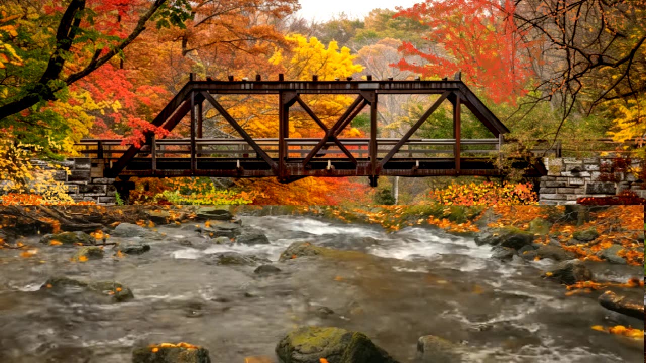 Jazz Ambience Cool Autumn Vibes at the Trestle Bridge over the Mountain Stream