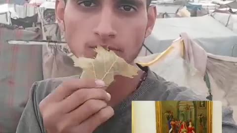 GAZA GENOCIDE EATING LEAVES TO SURVIVE.
