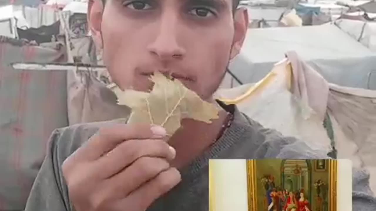 GAZA GENOCIDE EATING LEAVES TO SURVIVE.