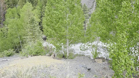 Million Dollar Highway Waterfall Pt. 1
