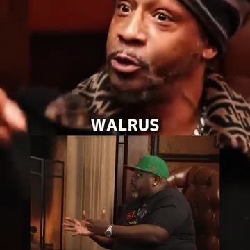 Katt vs Cedric THE WALRUS!