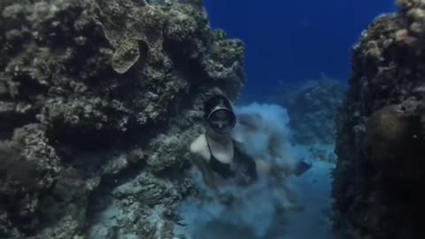 Freediving in Moalboal: Explore Wall Drops, Coral Gardens and the Iconic Sardine Run