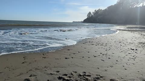 Coastal Relaxation