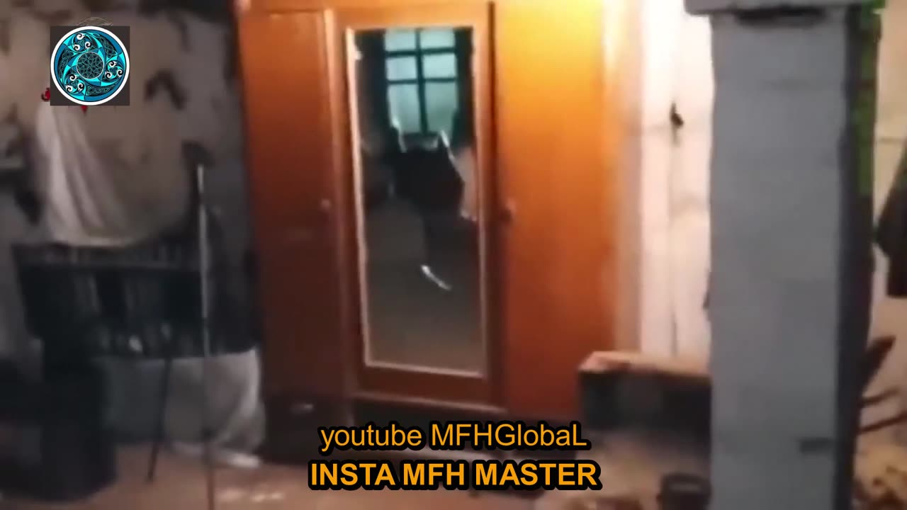 #top secret file # ghost in the house 349