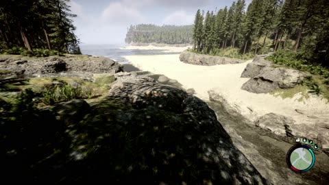 Sons Of The Forest Pc Gameplay And Ambient Background