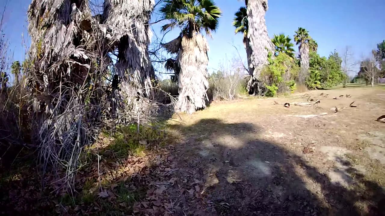 El Dorado Park Area III 2025