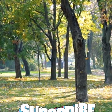 😊 55 ¡LO QUE SUELTAS, ABRE ESPACIO A LO NUEVO! Isaías 43:18-19😊