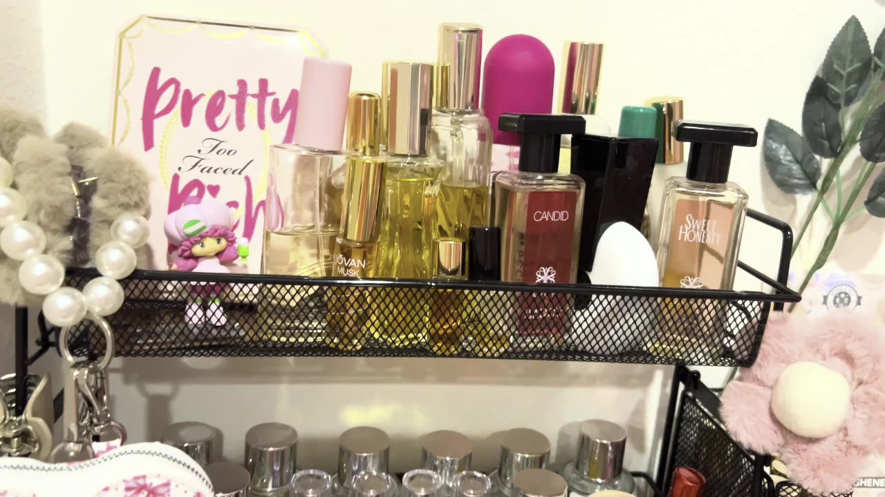 My Closet Tour & How I store my Bags & Accessories. PART 1.