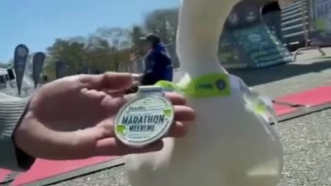 Duck Crosses the Finish Line Like a True Legend! 🏁🦆👟