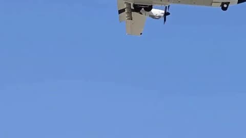 🇻🇪 🇺🇸 ⚔️ Venezuela Deception (2026): The CIA LM-100J Super Hercules aircraft of Pallas Aviation