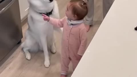 Kids Playing with Dogs and Cats | Cute Baby & Pet Friendship Moments 🐶🐱