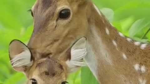 Wonderful World