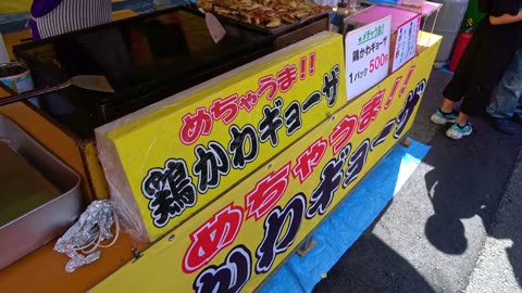 Crispy chicken skin dumplings