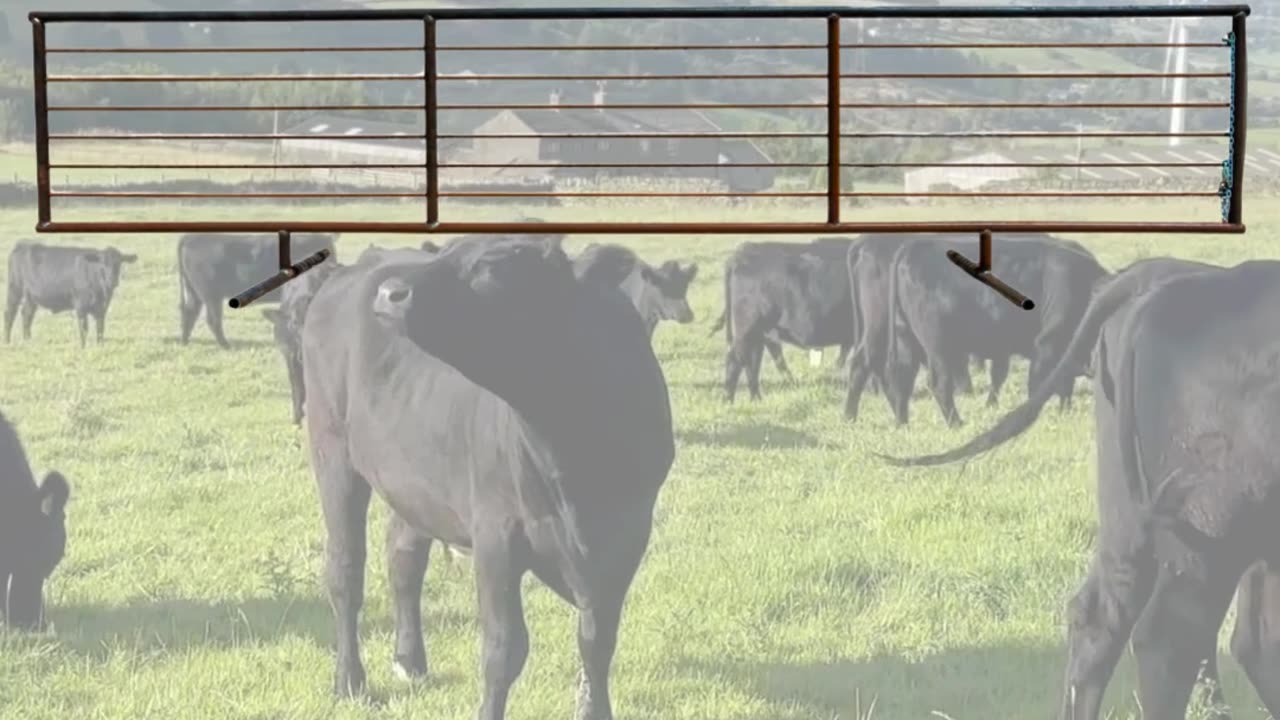 American-Made Freestanding Panels