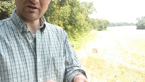 Testing new boxelder B P