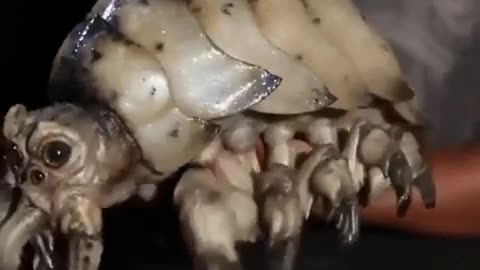 🤯✨ Tiny Bugs in "Pacific Rim" Are Real! Not CGI but Amazing Animatronics | FeedMyCuriosity
