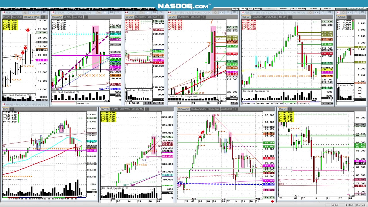 #Cattle Aug1 Friday Bounce, then break