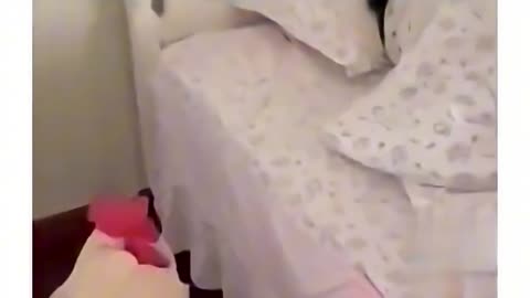 Bitch... GET UP